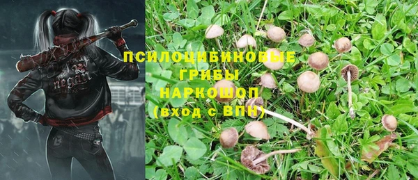 ешки Видное